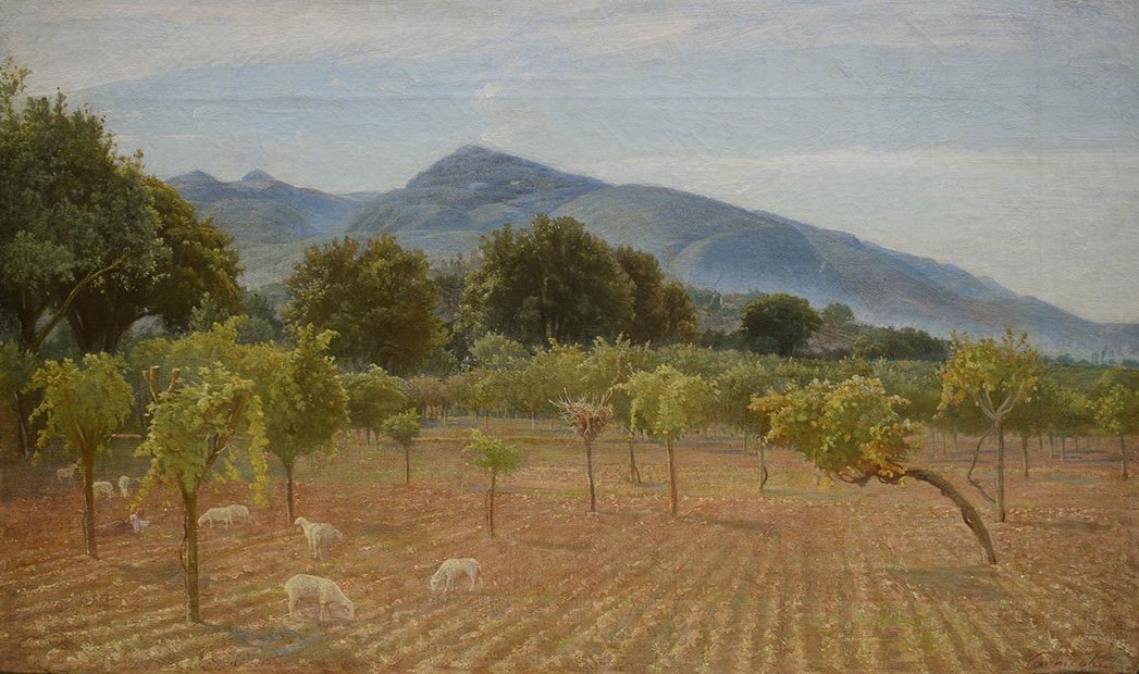 Gaetano Vannicola (offida 1859 – Grottammare 1923), Campagne Ombrienne