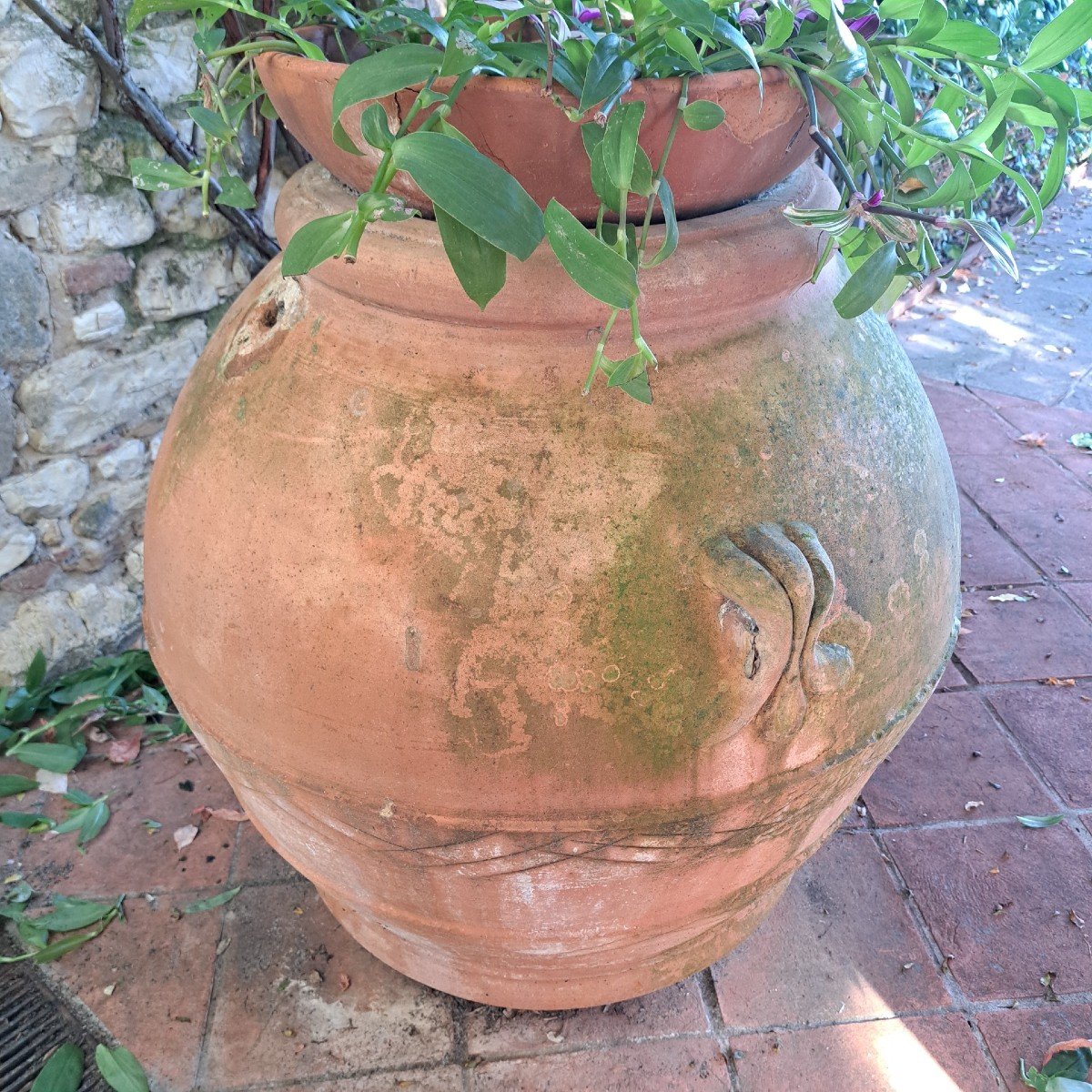 Ancien Grand Pot En Terre Cuite Impruneta-photo-2