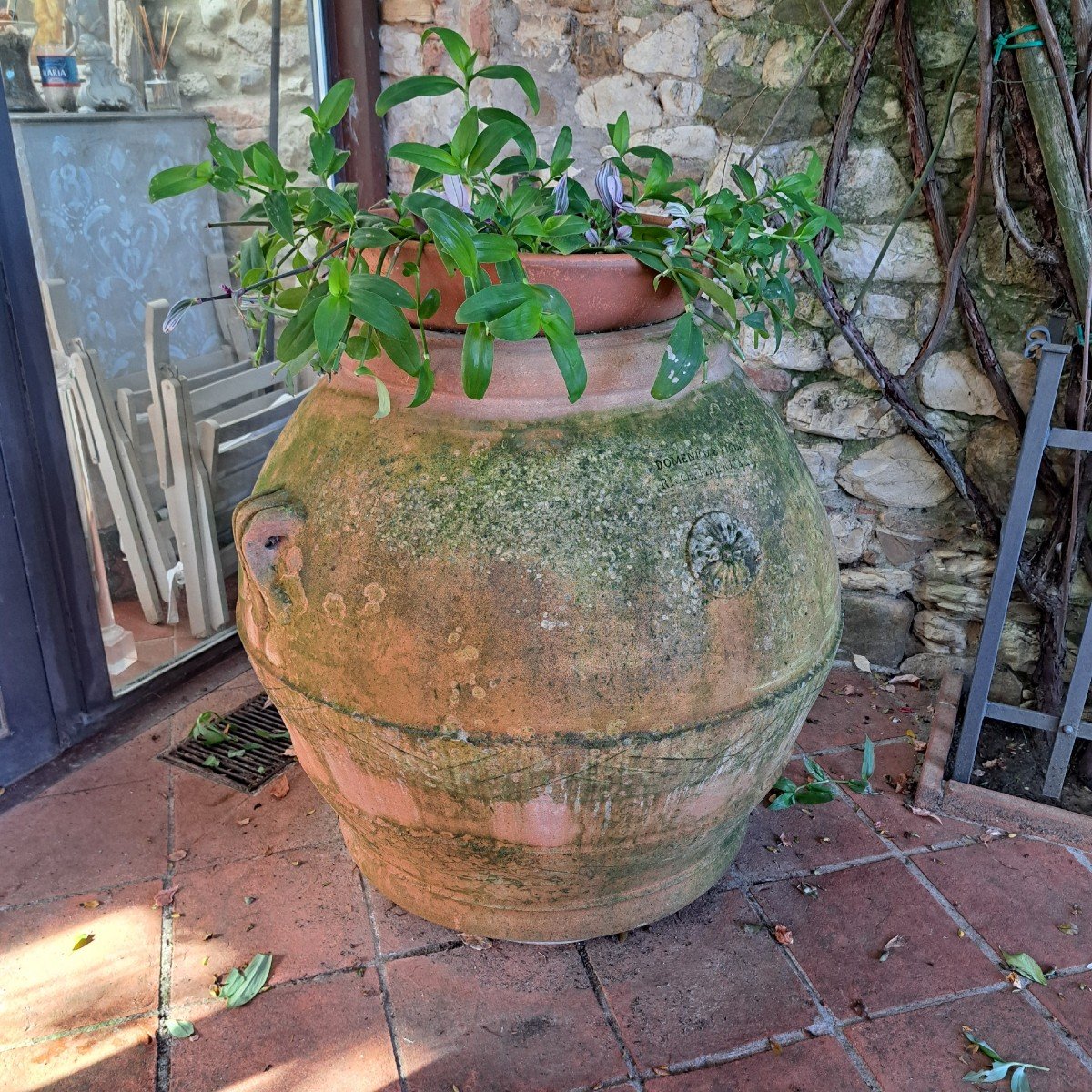 Ancien Grand Pot En Terre Cuite Impruneta-photo-3