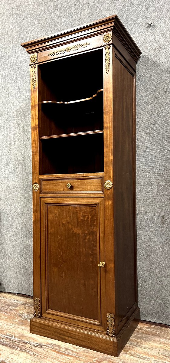 Empire Style Library Cabinet In Mahogany Around 1880 (a)-photo-1