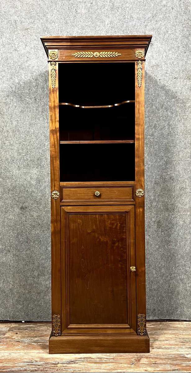 Empire Style Library Cabinet In Mahogany Around 1880 (a)