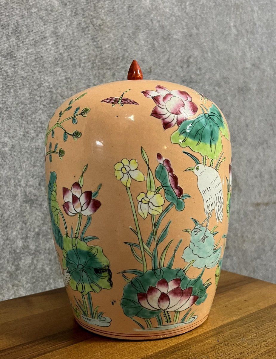 Chine Vers 1900 : Grand Pot A Gingembre En Porcelaine De Couleur Abricot  -photo-1