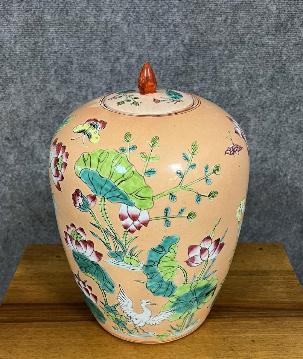 Chine Vers 1900 : Grand Pot A Gingembre En Porcelaine De Couleur Abricot  -photo-3
