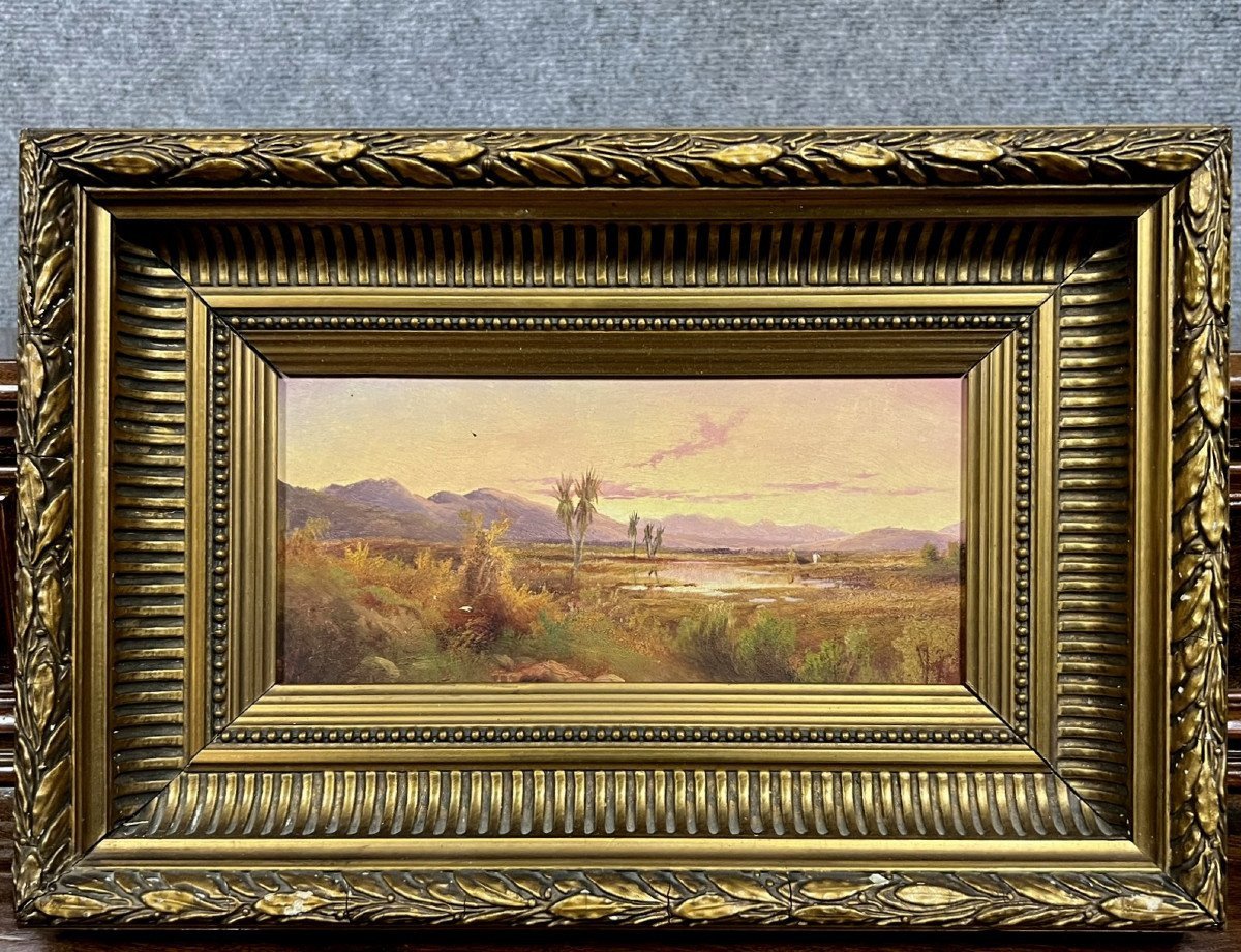 Tableau Orientaliste, Huile Sur Panneau : Vue d'Une Oasis Dans Le Désert 