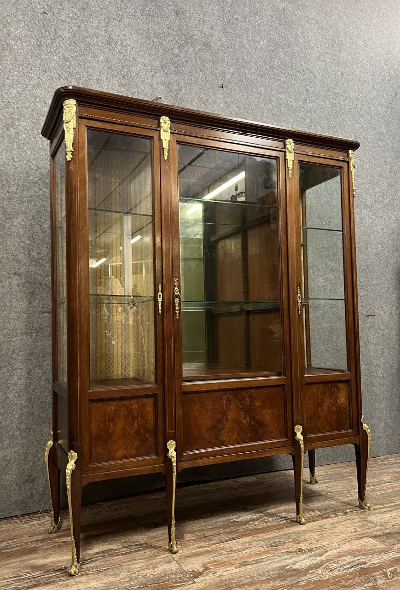 Louis XV Style Bookcase In Mahogany -photo-1