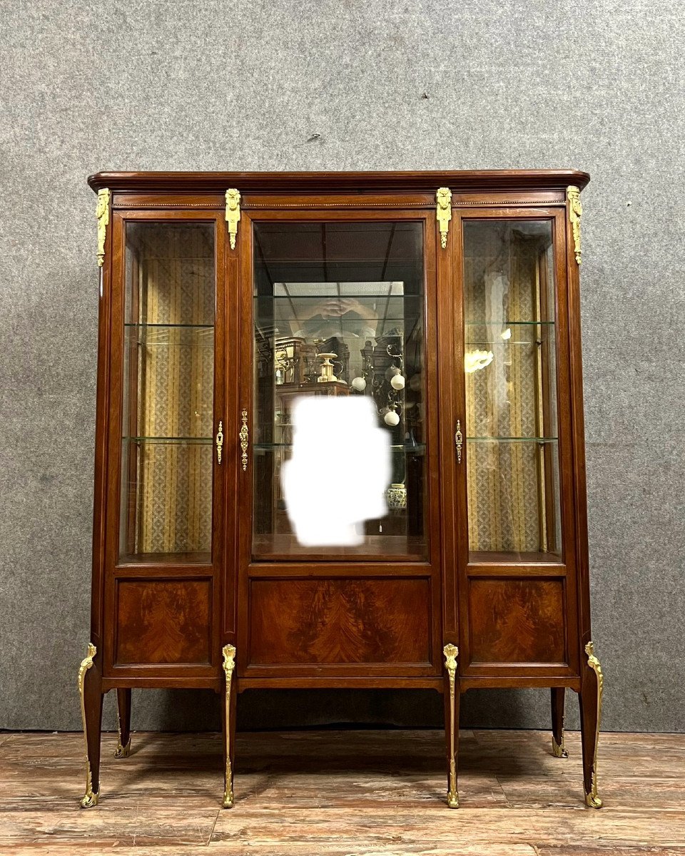 Louis XV Style Bookcase In Mahogany 