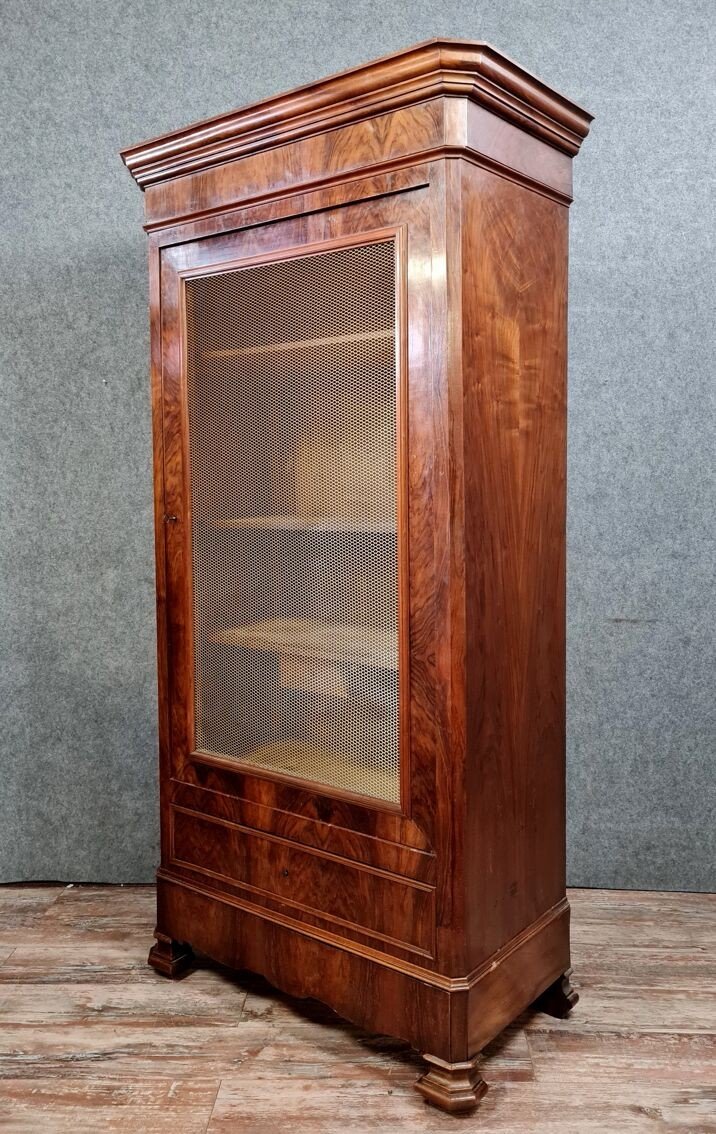 Louis Philippe Period Mahogany Wire Mesh Bookcase -photo-1