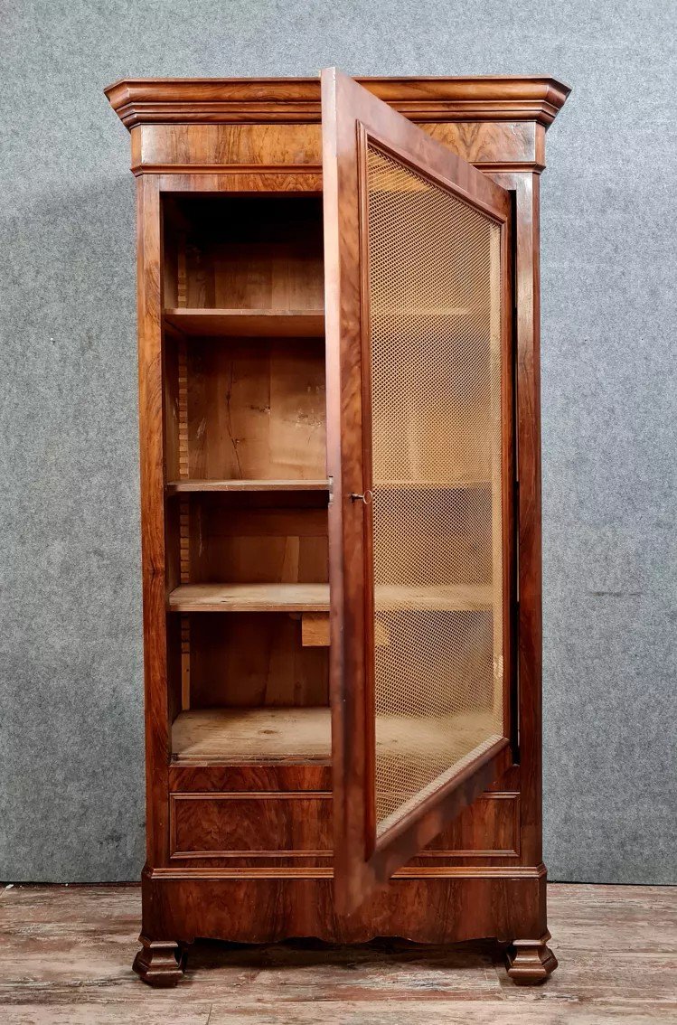 Louis Philippe Period Mahogany Wire Mesh Bookcase -photo-8