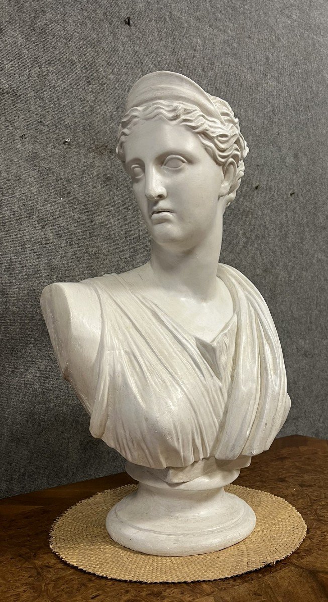 Large Plaster Bust Of Artemis Or Diana The Huntress-photo-1