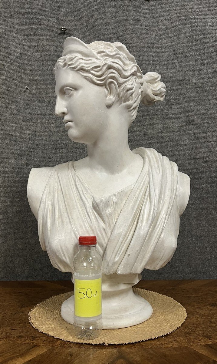 Large Plaster Bust Of Artemis Or Diana The Huntress-photo-4