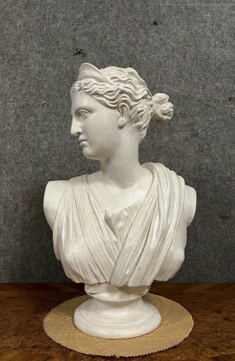 Large Plaster Bust Of Artemis Or Diana The Huntress