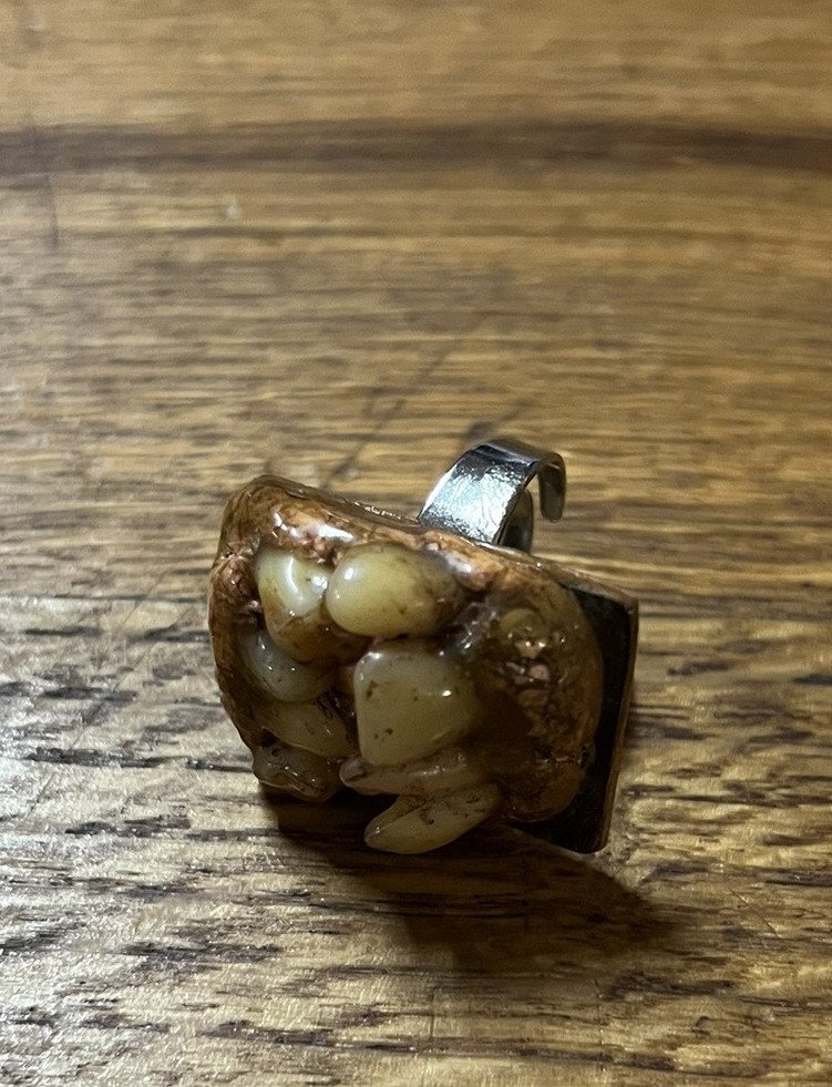 Vintage Curiosity Jewelry: Tooth Ring -photo-2