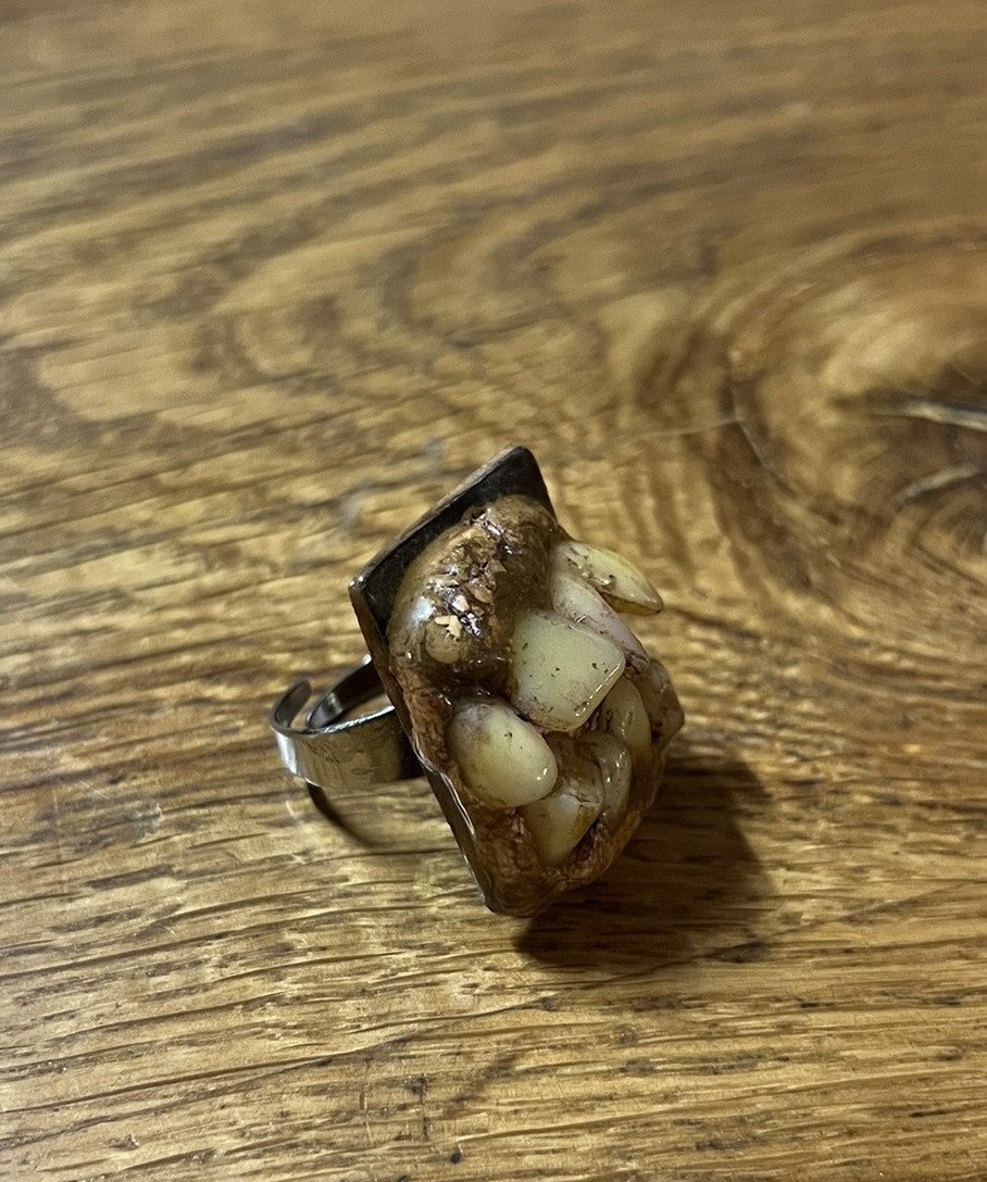 Vintage Curiosity Jewelry: Tooth Ring -photo-3