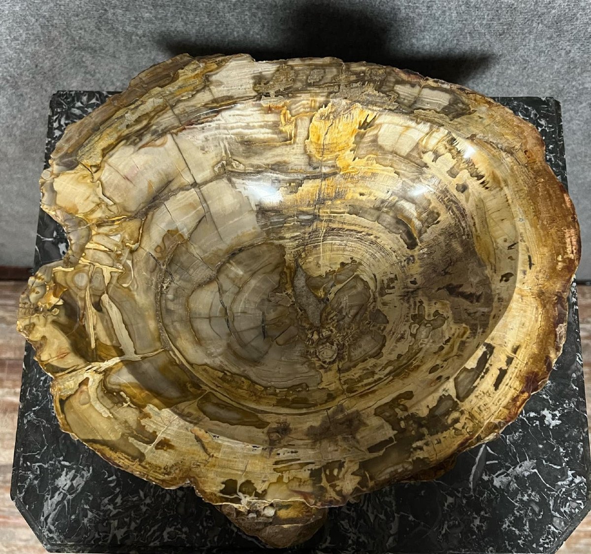 Fossilized Petrified Wood Basin From Indonesian Forests Dating Back Millions Of Years-photo-4