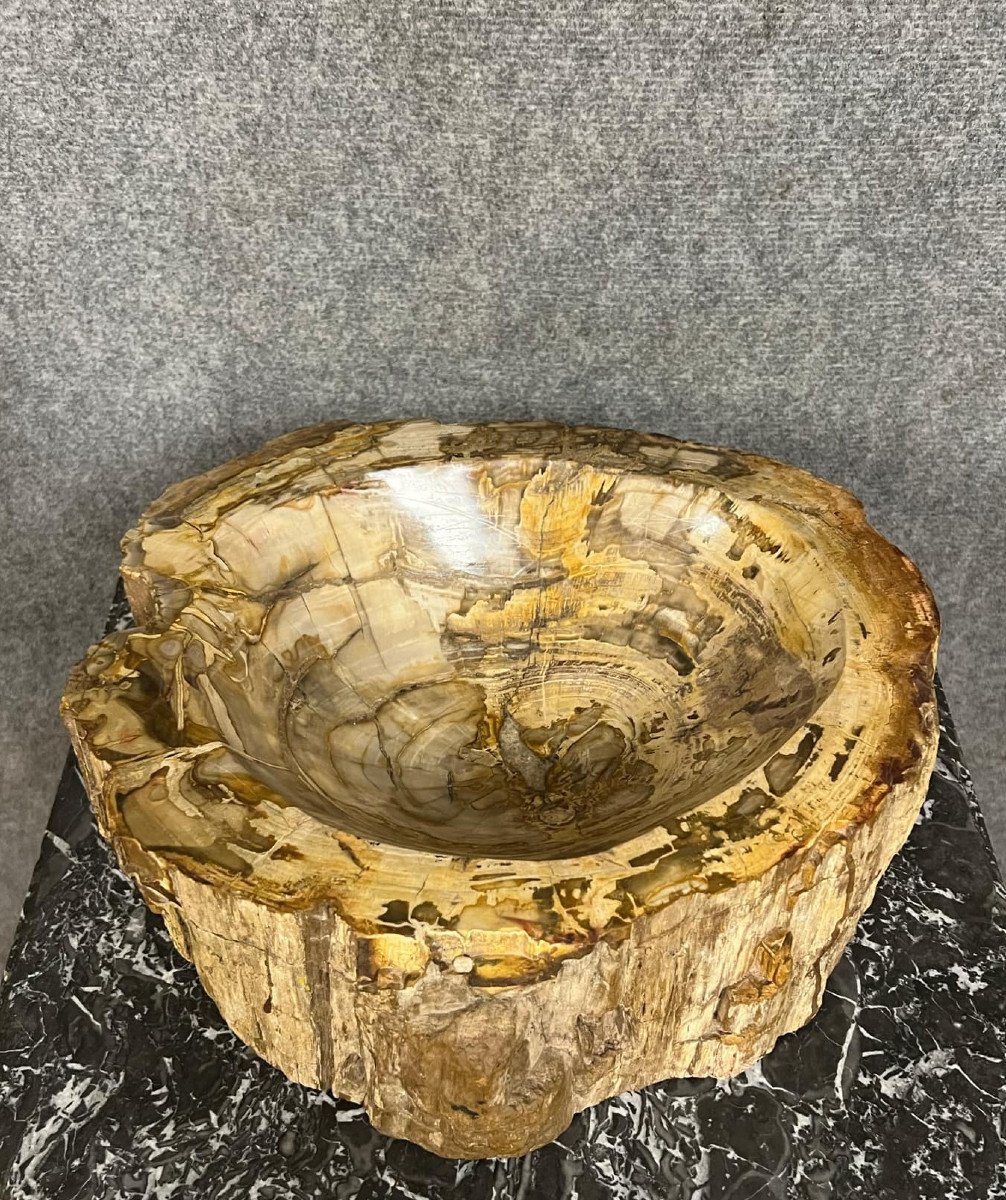 Fossilized Petrified Wood Basin From Indonesian Forests Dating Back Millions Of Years