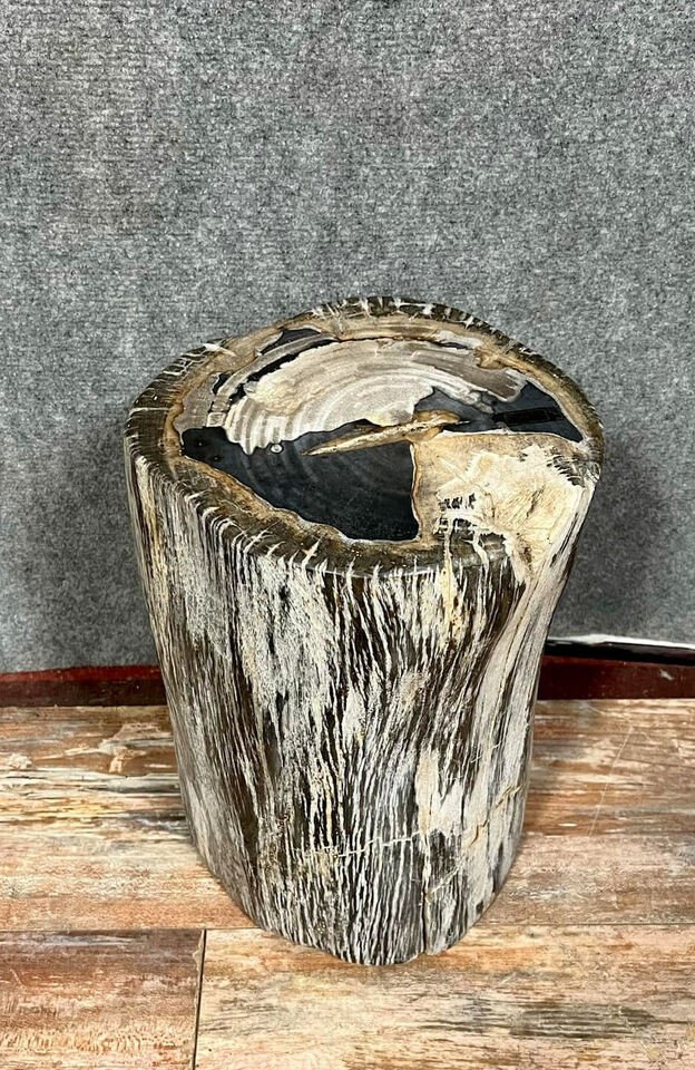 Multi-colored Petrified Wood Side Table With Brown Veined Background