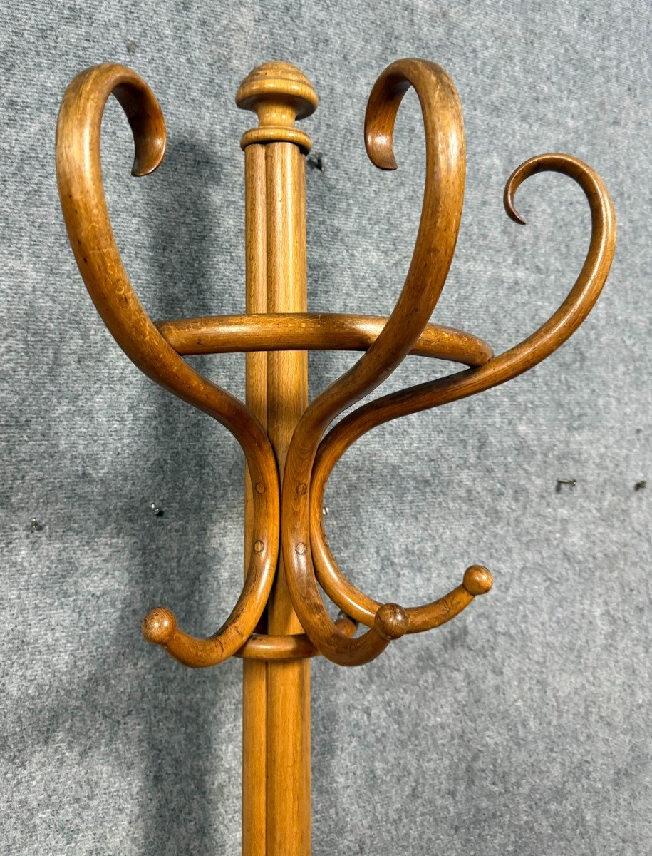 Thonet: Paire De Portes Manteaux Perroquet De Forme "demi-lune"-photo-4