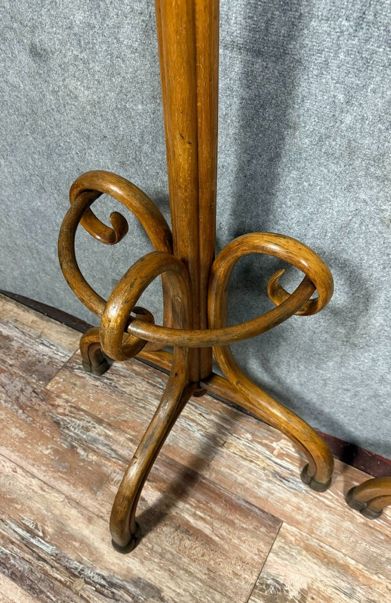 Thonet: Paire De Portes Manteaux Perroquet De Forme "demi-lune"-photo-5