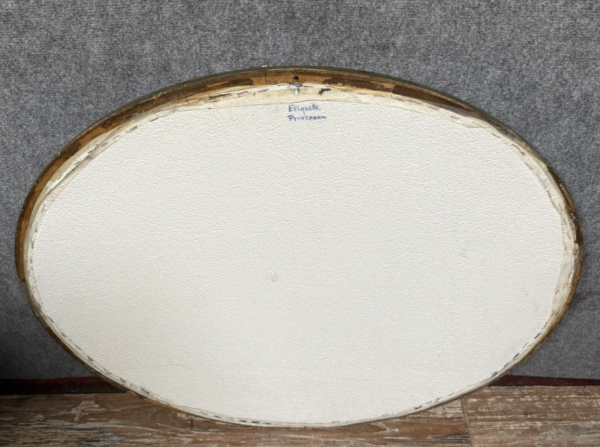 Color Chromolithograph Table In Oval View  -photo-4