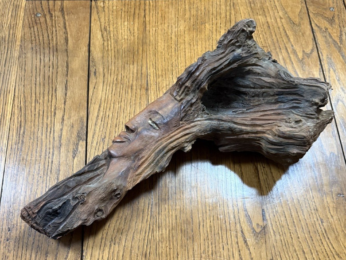 Brutalist Art: Sculpture Made From A Teak Root -photo-2