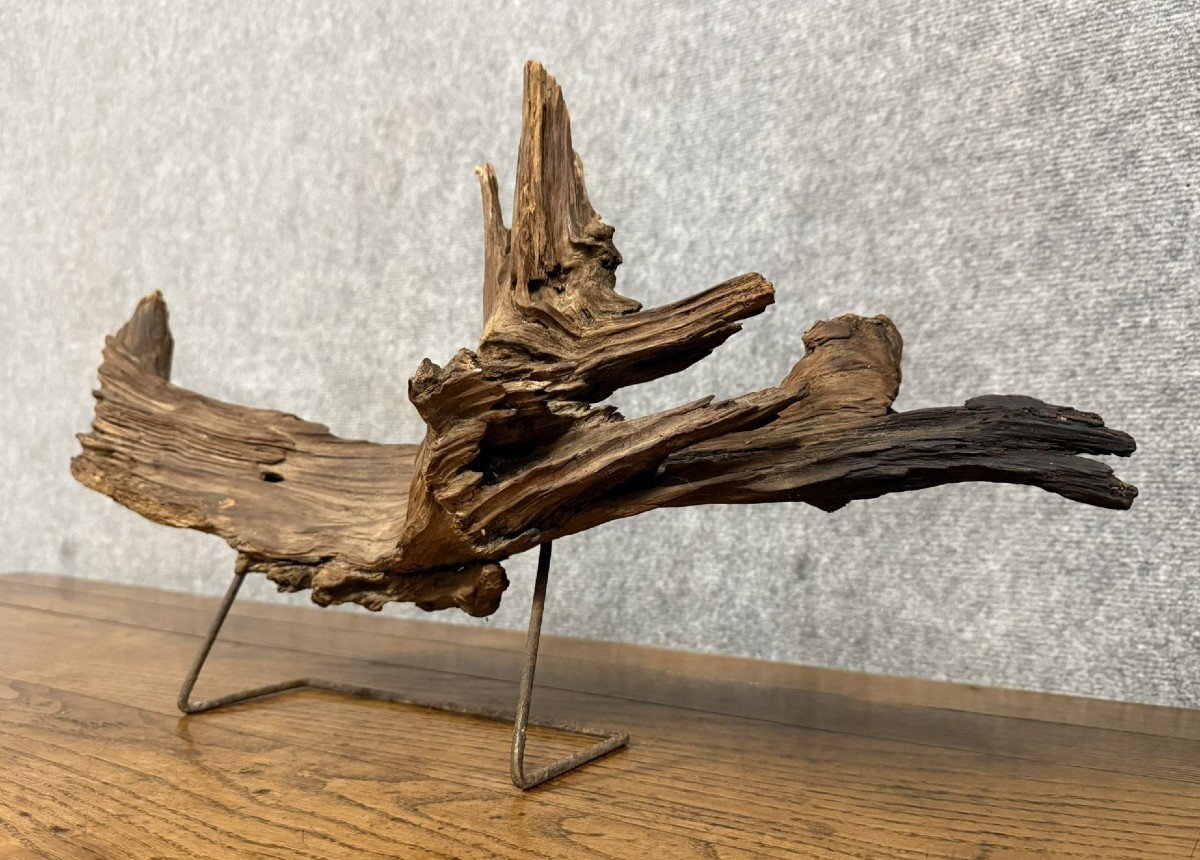 Decorative Element From The End Of The 20th Century: Large Piece Of Driftwood -photo-2