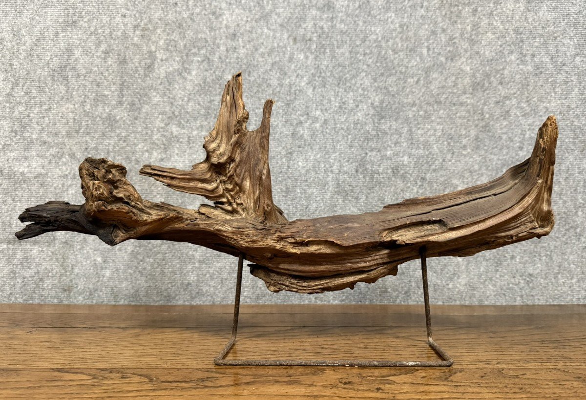 Decorative Element From The End Of The 20th Century: Large Piece Of Driftwood -photo-3