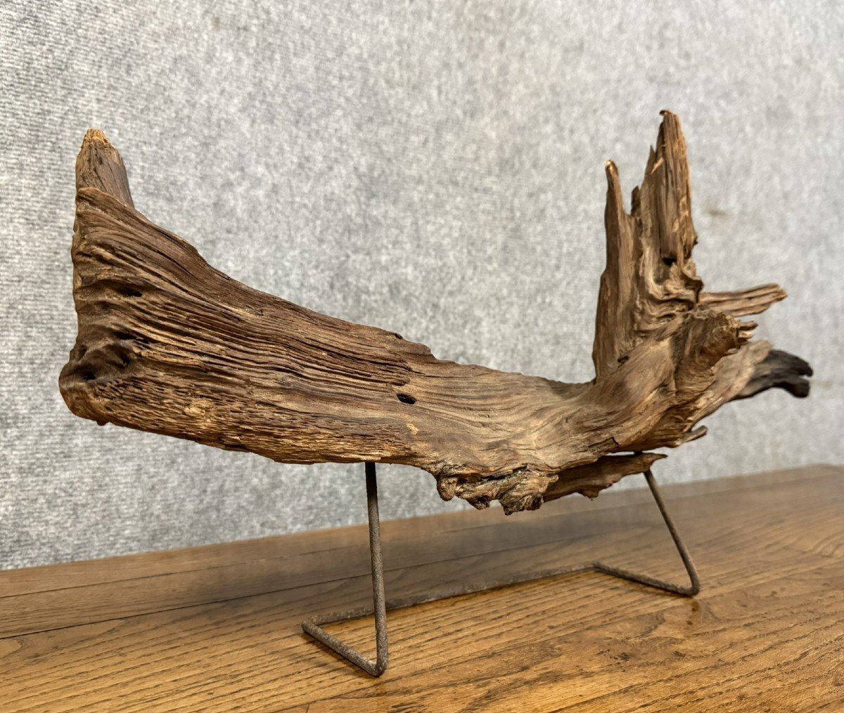 Decorative Element From The End Of The 20th Century: Large Piece Of Driftwood 