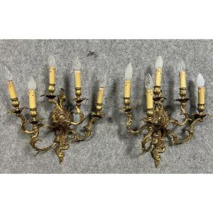 Very Large Pair Of Louis XV Style Gilt Bronze Sconces  