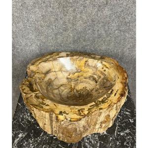 Fossilized Petrified Wood Basin From Indonesian Forests Dating Back Millions Of Years