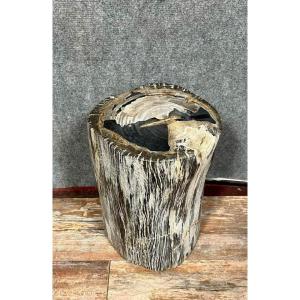 Multi-colored Petrified Wood Side Table With Brown Veined Background