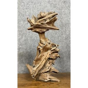 Brutalist Art: Large Sculpture Made From A Teak Root 