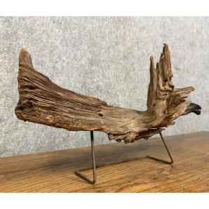 Decorative Element From The End Of The 20th Century: Large Piece Of Driftwood 