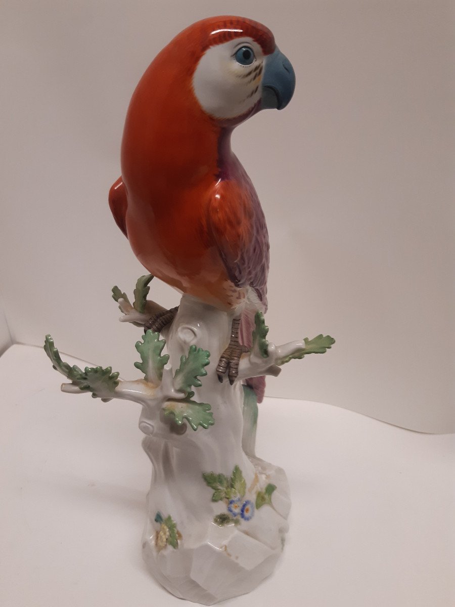 Meissen Porcelain Parrot-photo-3