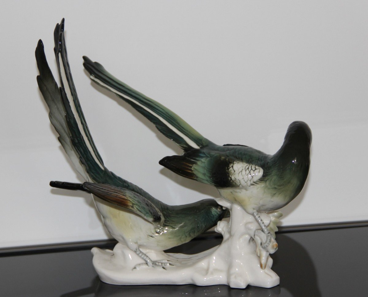 Saxe Porcelain Karl Ens Large Couple Of Polychrome Birds High 32.5 Cm-photo-2