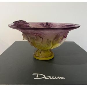 Coupe En Pâte De Verre De Daum à Décor d'Iris 