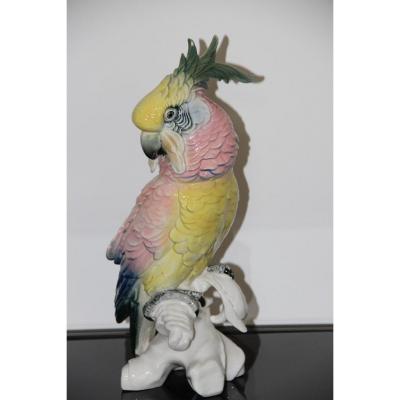 Saxe Porcelain Karl Ens Large Cockatoo Parrot 36.5 Cm High