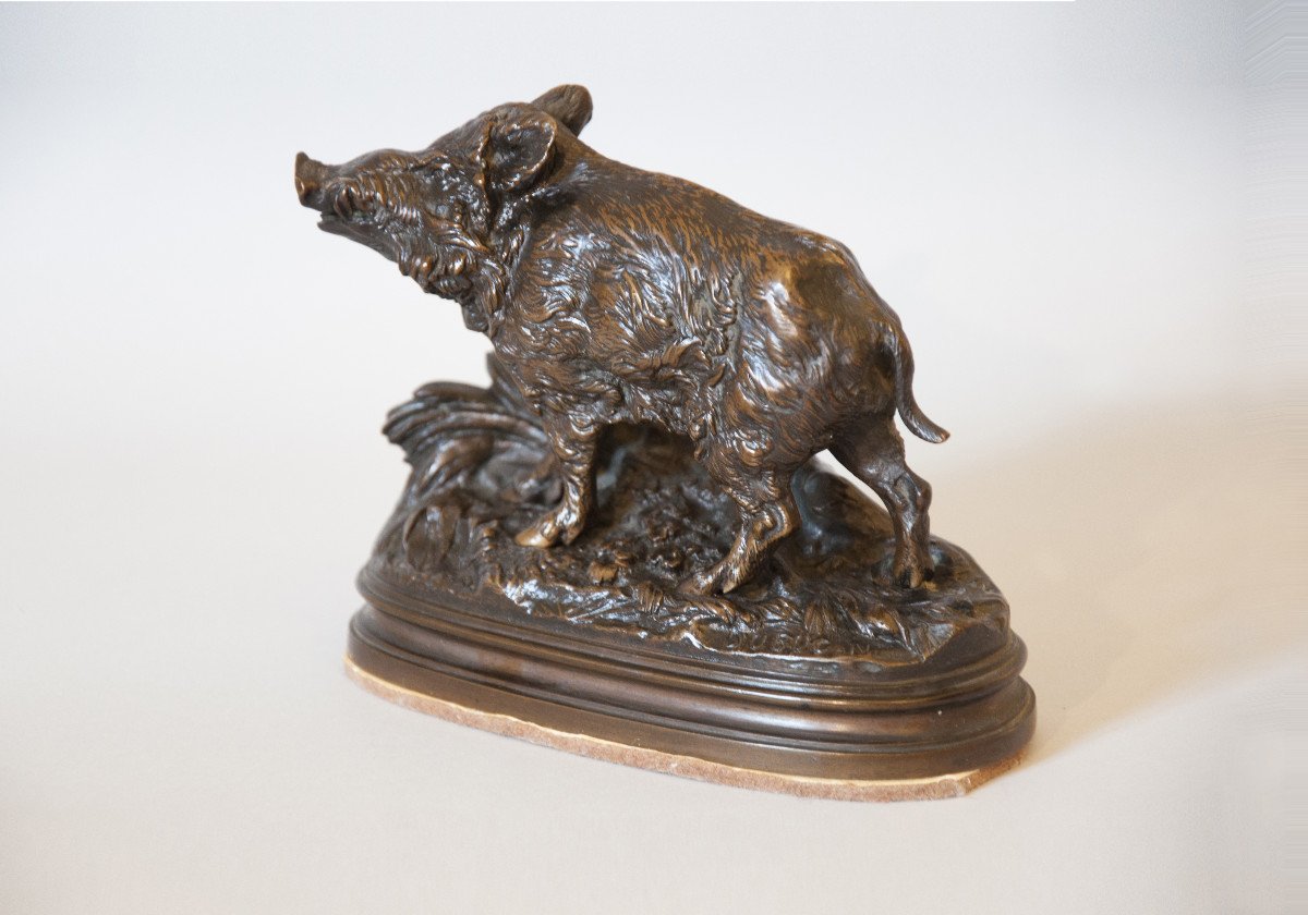 Alfred Dubucand (1828-1894), Wild Boar, Bronze-photo-4