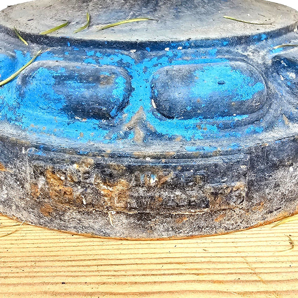 19th Century Cast Iron Garden Basins-photo-4