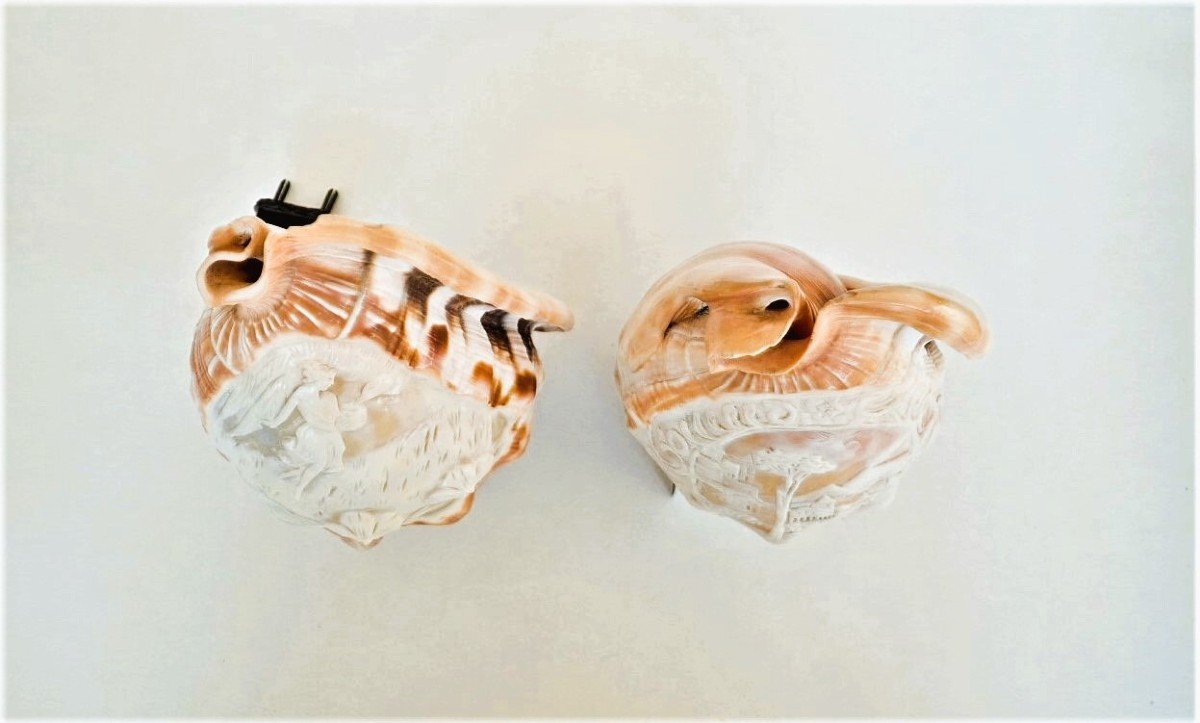 Set Of 2 Seashells Engraved Lamps-photo-3