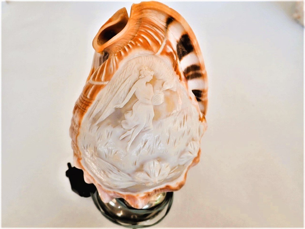 Set Of 2 Seashells Engraved Lamps-photo-3