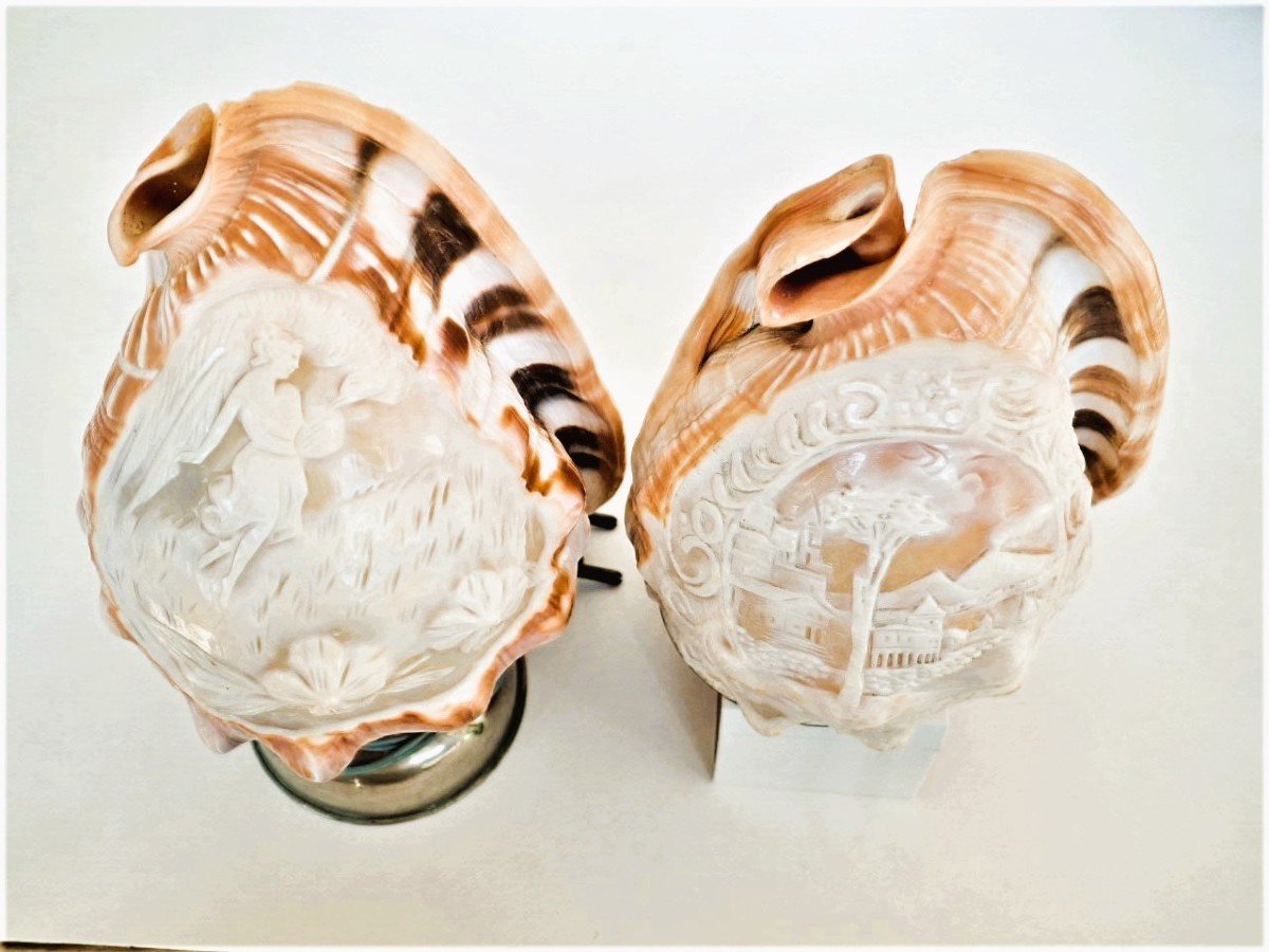 Set Of 2 Seashells Engraved Lamps