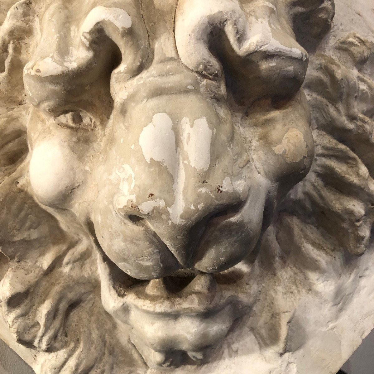 Bas-relief Of A Lion's Head In Plaster, From The Academy Of Fine Arts In Ghent-photo-4