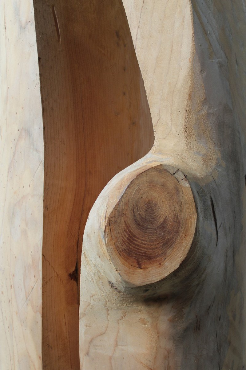 Abstract Sculpture In Chestnut Wood By The Belgian Sculptor Roland Lavianne (1948-2022)-photo-7