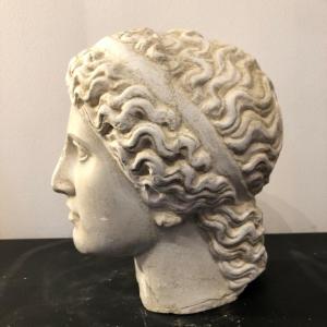 tête en plâtre représentant  ' Hera '  , plâtre académique