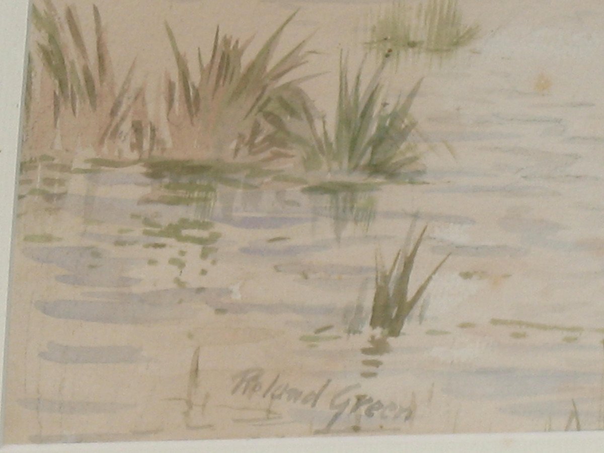 Watercolor Signed By Roland Green Ducks In The Marshes, 20th Century-photo-4