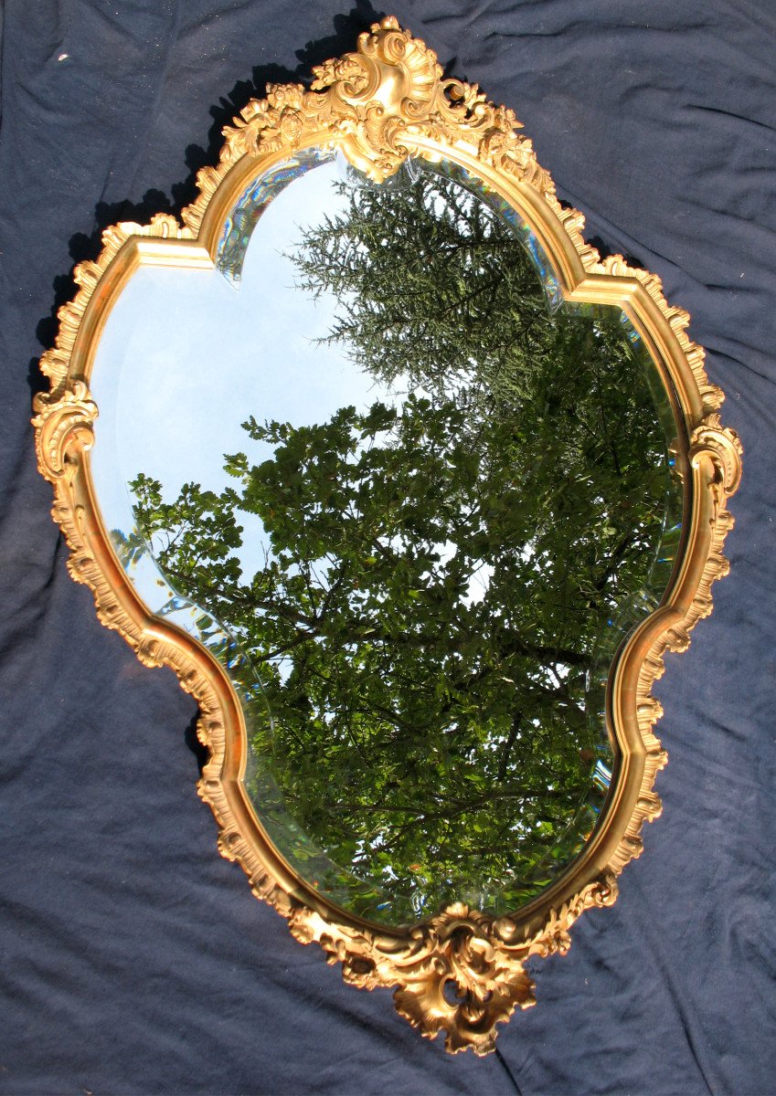 Louis XV Rocaille Style Mirror Gilded With Leaf, 19th Century