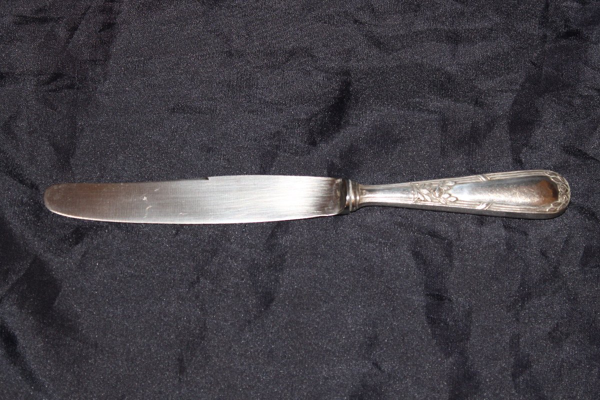 12 Louis XVI Style Silver Metal Knives From Dalia-photo-1