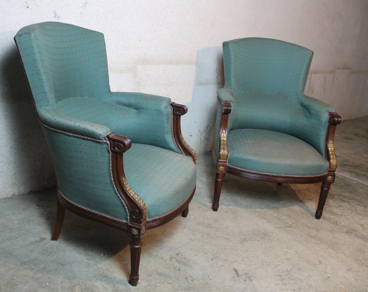 Pair Of Louis XVI Style Mahogany Bergere Chairs, 19th Century-photo-3