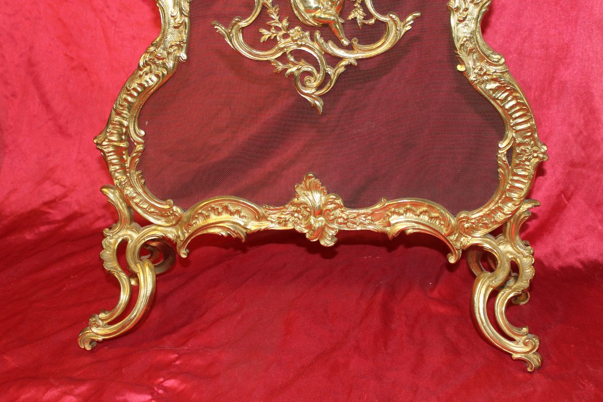 Louis XV Style Bronze Fire Screen -photo-3