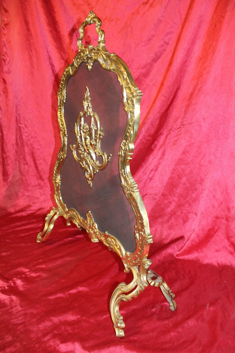 Louis XV Style Bronze Fire Screen -photo-5